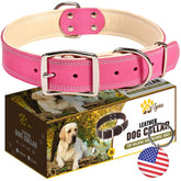 ADITYNA heavy-duty pink leather dog collar closeup showing premium leather with soft padding for comfort