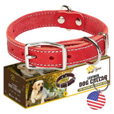 ADITYNA heavy-duty red leather dog collar close-up demonstrates secure fit
