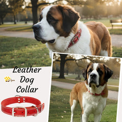 ADITYNA leather collar double buckle highlights secure, reliable daily walking.