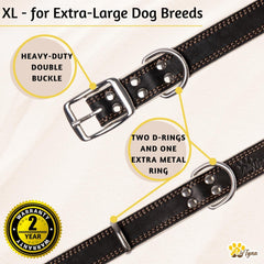 ADITYNA leather collar padded interior showing soft comfort during long wear