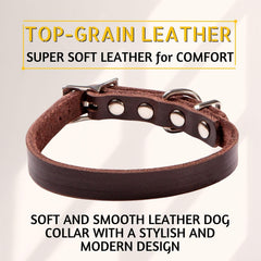 ADITYNA double-buckle D-ring collar enhances security for small breeds during training.