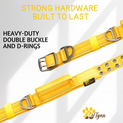 ADITYNA nylon webbing and D-ring demonstrate durable leash connection