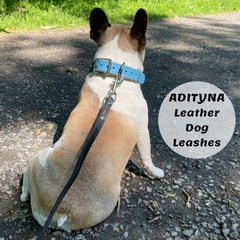 ADITYNA premium leather dog leash reinforced stitching showcases long-lasting durability.