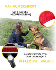 ADITYNA reflective-stitching on collar seen at dusk for visibility.
