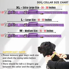 ADITYNA reflective stitching on collar enhances safety during night walks.