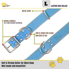 ADITYNA robust buckle and dual d-rings ensure secure control.