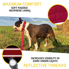 ADITYNA weather-resistant tactical collar ready for outdoor adventures.