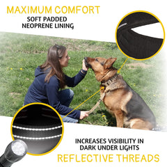 ADITYNA wide 1.5-inch nylon collar demonstrates durability and comfort