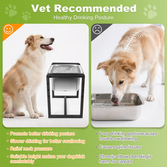 Adjustable Height Elevated Large Dog Water Bowl with stainless steel bowls for easy cleaning.
