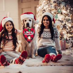 ADOGGYGO Christmas Snowman pattern bandana on red plaid adds seasonal charm for photos.