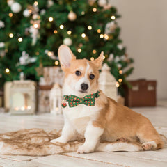 ADOGGYGO bowtie collar attachment shows removable bow for versatile looks on your dog.