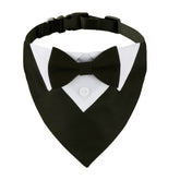 ADOGGYGO formal dog tuxedo with black bowtie on a small dog for wedding attire