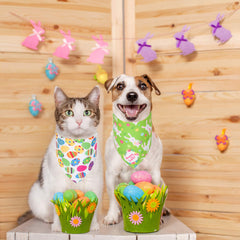 ADOGGYGO four-pack collection offers versatile styles for every occasion.