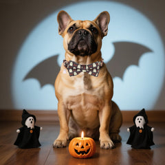 ADOGGYGO ghost print collar adds playful Halloween charm