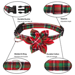 ADOGGYGO holiday plaid collar ideal as a gift-ready look