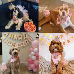 ADOGGYGO pink dog tutu skirt adds adorable flair for photos and celebrations