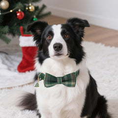 ADOGGYGO safety buckle and D-rings ensure easy on/off and secure leash.