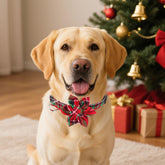 ADOGGYGO soft cotton collar for comfortable daily wear