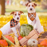 ADOGGYGO X-Large Thanksgiving bandana worn by a dog, comfortable fit for larger breeds.