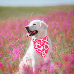 ADOGGYGO Valentine bandana close-up showing lip print design and cute accessory appeal