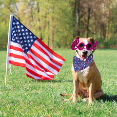 ADOGGYGO X-Large dog bandana fits up to 22-inch necks, festive and comfortable