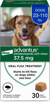 Advantus dog fast-acting chews bottle shows quick flea relief within one hour.