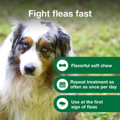 Advantus packaging box signals prescription-free flea treatment option.