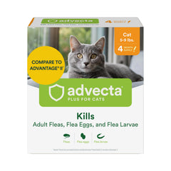 Advecta Plus bottle and dropper ready for use on cats with fast-acting flea control.