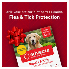 Advecta Ultra application on a dog back for fast-acting protection