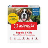 Advecta Ultra bottle applied to a dog's coat for quick flea protection.