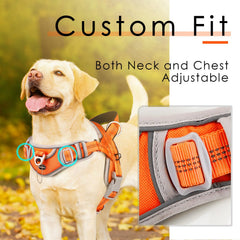 ADVENTUREMORE dog harness top handle control orange for quick training assistance.