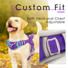 AdventureMore XXL dog harness overhead design for quick on-off use.