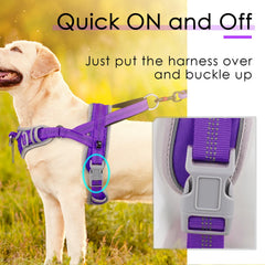 AdventureMore XXL dog harness top handle provides precise training control.