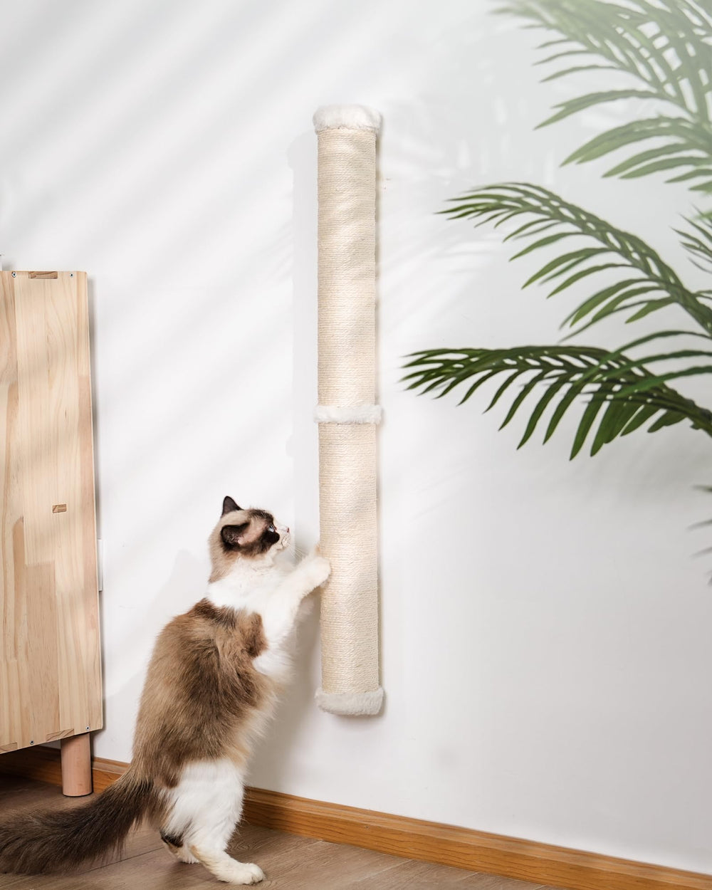 Aechonow 34-inch wall scratcher main view showing space-saving enrichment for cats
