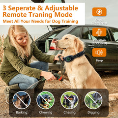 Aertyole dual-dog training setup shows two collars used for multi-dog households.