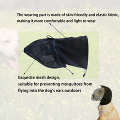 Aetherix Field Guard for Dogs foxtail mask protecting eyes and ears on trails.