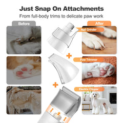 Afloia 6-in-1 kit shows powerful suction handling thick coats with ease.
