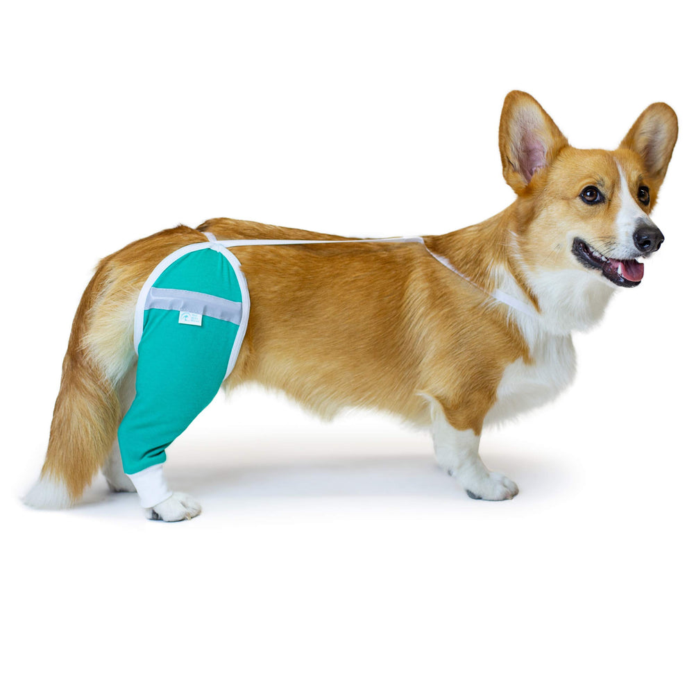 After Surgery Wear dog recovery sleeve teal front view, promotes breathable comfort