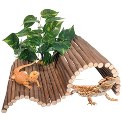 AGGQQA Reptile Hide Bridge setup provides versatile shapes for enrichment and climbing.