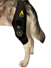 AGON dog knee brace on the left leg showing adjustable hinge stabilizer for controlled movement.