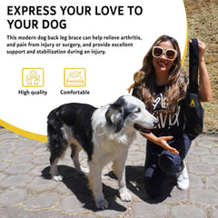 AGON Dog Knee Brace left leg XL in-use image shows supportive knee stabilization during activity