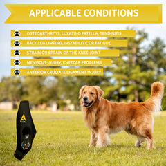 AGON Dog Knee Brace on dog right leg showcases secure fit during daily activities.