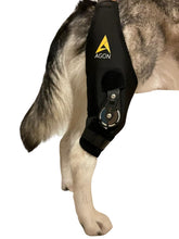 AGON Dog Knee Brace, right-leg fit shows adjustable hinge for gradual mobility during recovery.