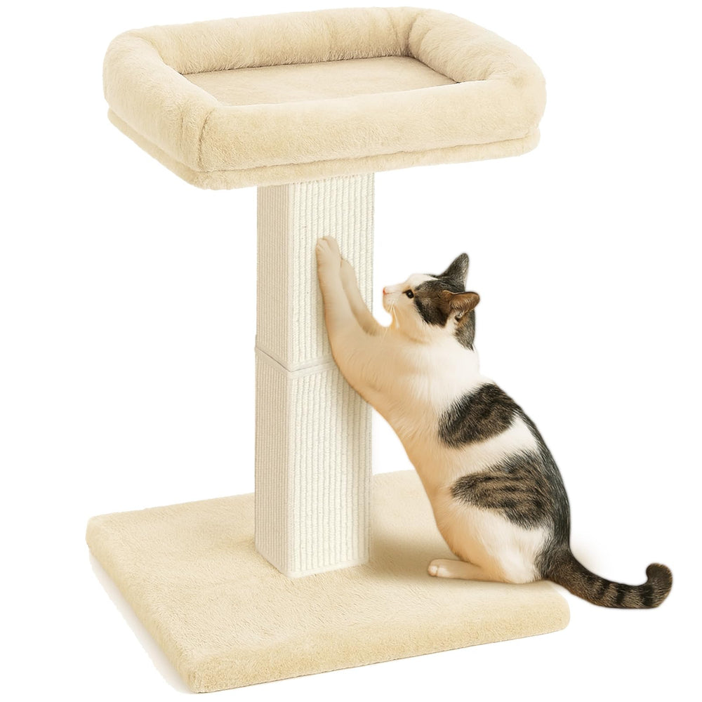 AGYM Cat Scratching Post base shows a sturdy foundation for tall play sessions