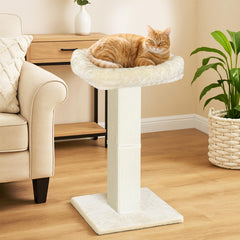 AGYM Cat Scratching Post sisal rope detail encourages natural scratching and furniture protection