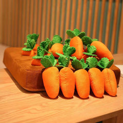 AGYTBG Carrot Snuffle Mat dog puzzle demonstrating slow-food style enrichment.