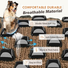 AIEDOULER senior dog traction on hardwood floors supports safe navigation