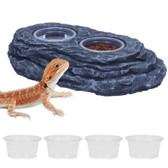 Aiicioo crested gecko feeding ledge magnet secures feeding on glass enclosures