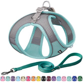 Aiitle small harness puppy turquoise xxs wear — secure, comfortable daily walks.