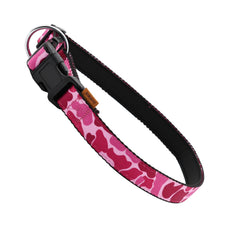 Aiminto dog collar floral pattern for stylish daily walks.